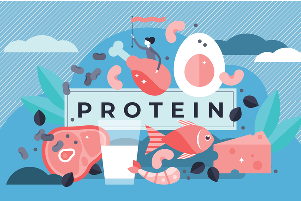 Protein Nedir?