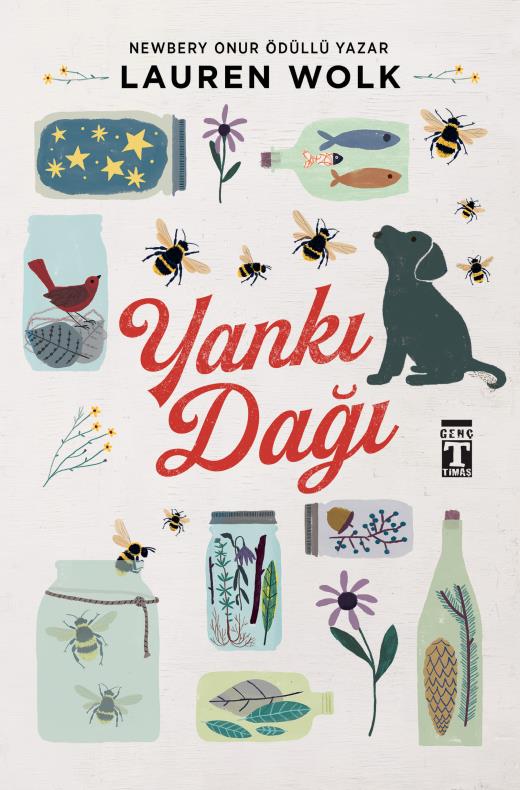 yanki-dagi-9786050845624-050720240331.jpg
